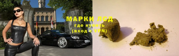 ПСИЛОЦИБИНОВЫЕ ГРИБЫ Новокубанск