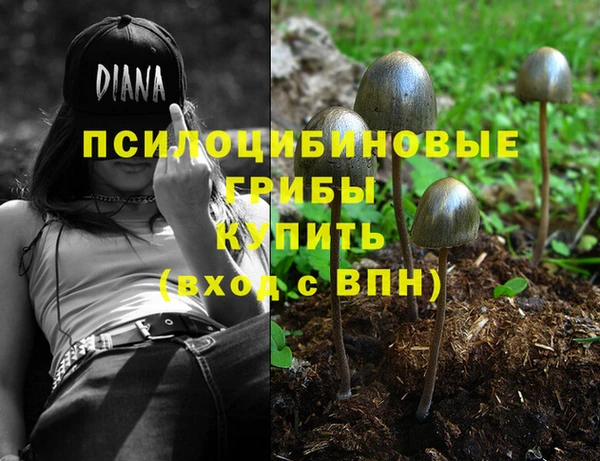 индика Алексеевка