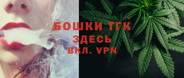 индика Алексеевка