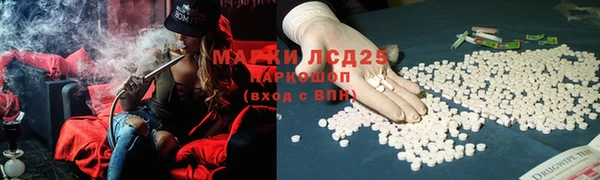 2c-b Новозыбков