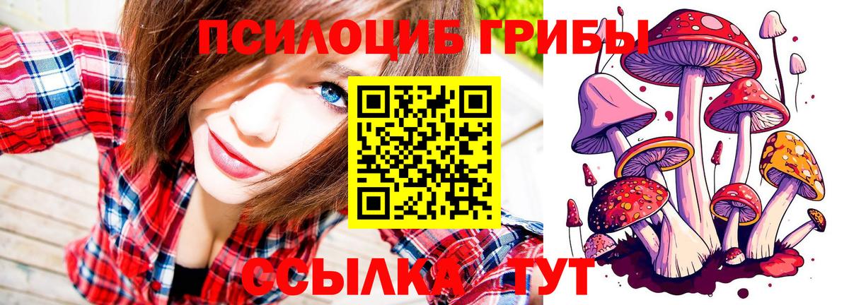 Псилоцибиновые грибы GOLDEN TEACHER Нижнеудинск