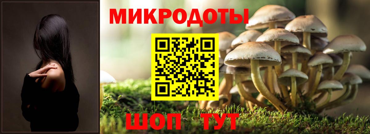 Нижнеудинск  как найти закладки  Псилоцибиновые грибы мицелий  Вход с VPN  Псилоцибиновые грибы мицелий 